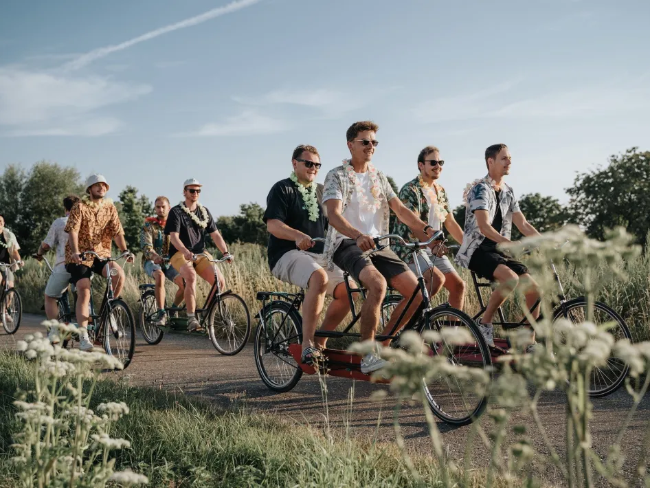 A group of friends on bicycles ride along a country road between tall grasses and wild flowers, dressed in summer clothes with flower garlands around their necks.