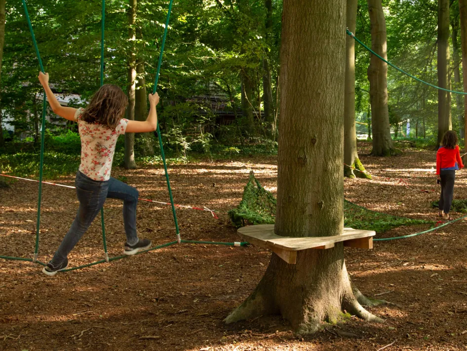 Twee kinderen spelen in een touwparcours in een bos. Een kind loopt over een evenwichtstouw tussen bomen, terwijl het andere kind verderop loopt tussen de bomen.