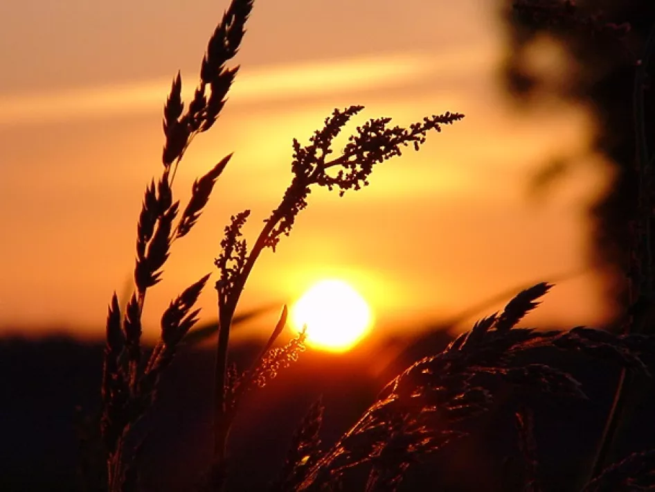 Zonsondergang route paardrijden
