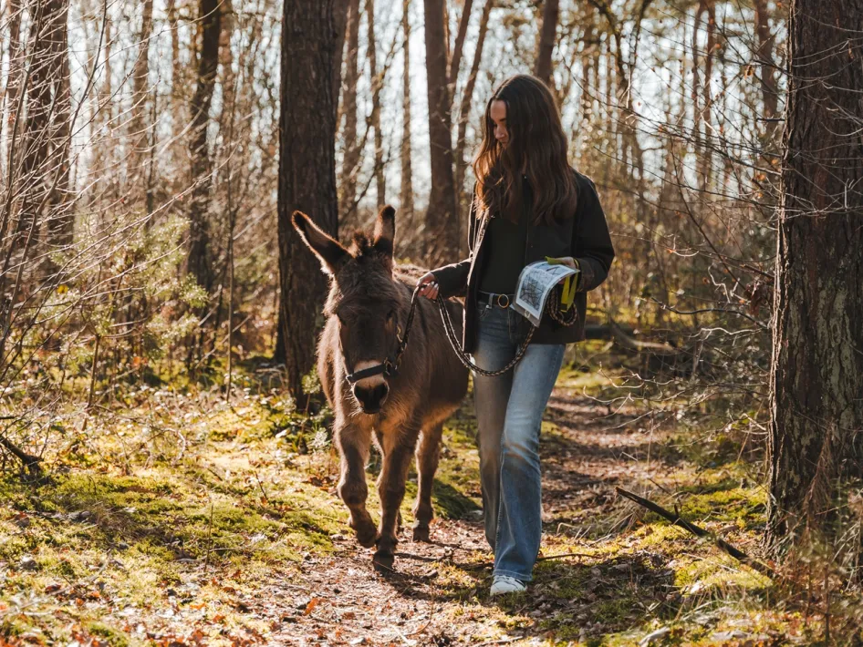 Vrouw maakt een ezelwandeling met ezel over een bospad bij Zorgboerderij Rondmeer