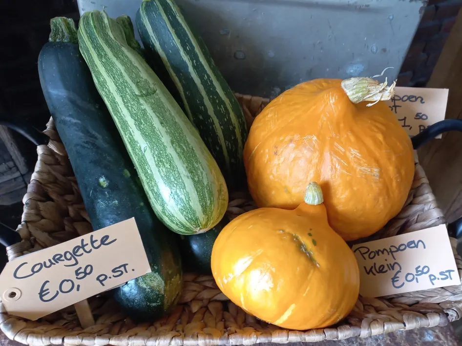 Fresh courgettes and pumpkins from the garden of Zorgboerderij Rondmeer