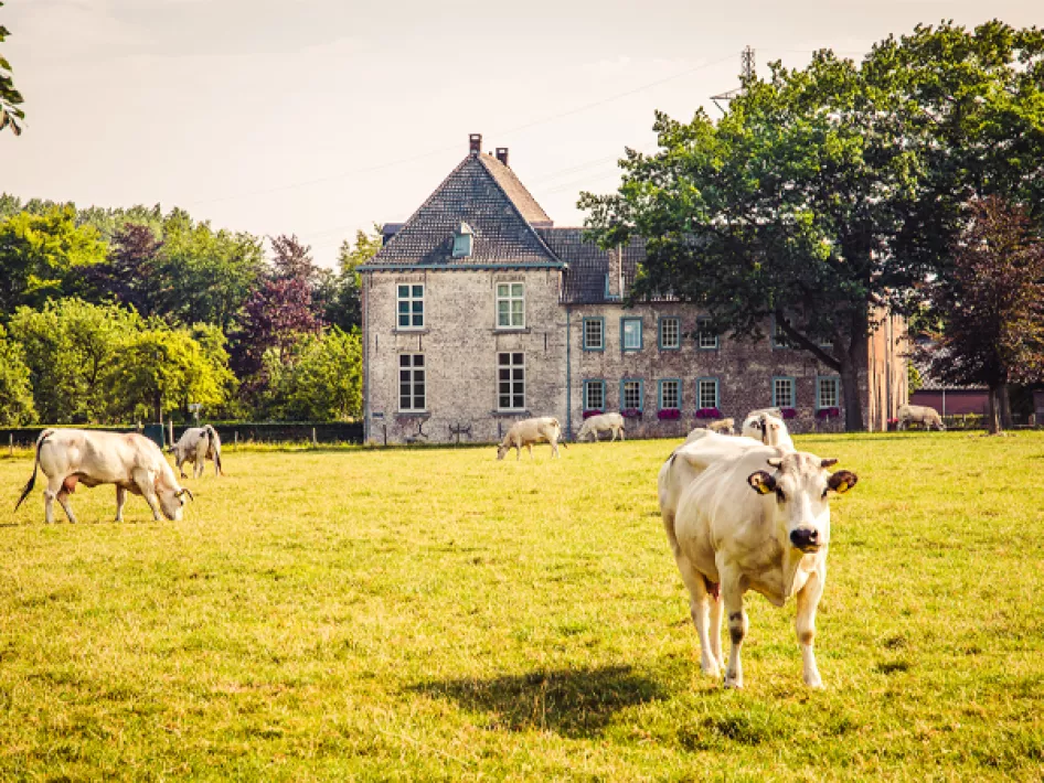 Bike tour Grenzgeschichten Roerdalen - Weststellungen