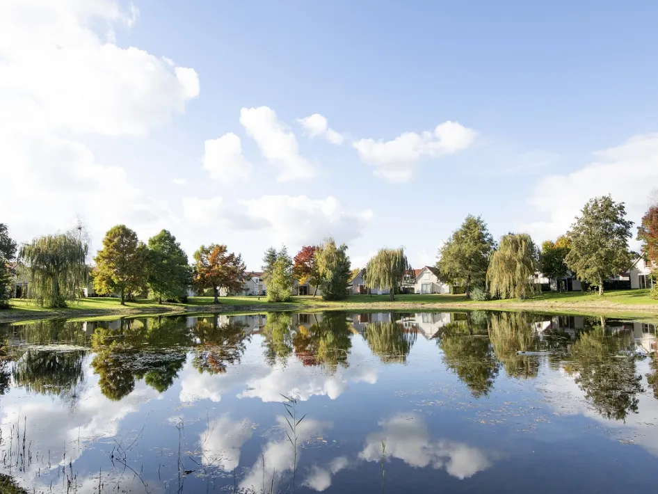 Een rustige vijver met bomen en huizen op de achtergrond, waarbij de heldere lucht en wolken weerspiegelen in het water.