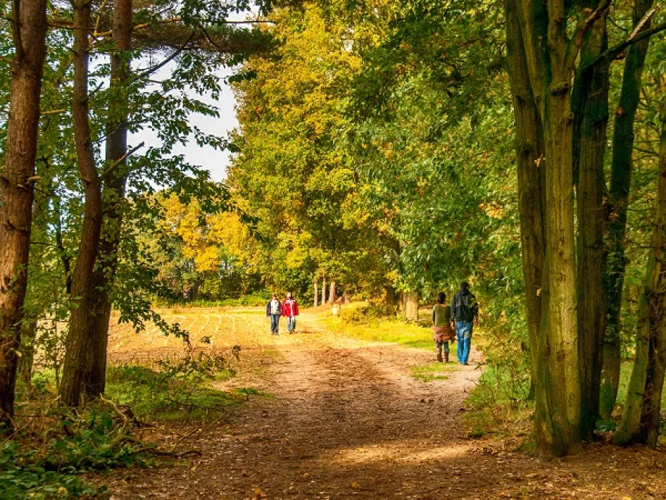 Wandelroute Beesel: Huurvaarderspad