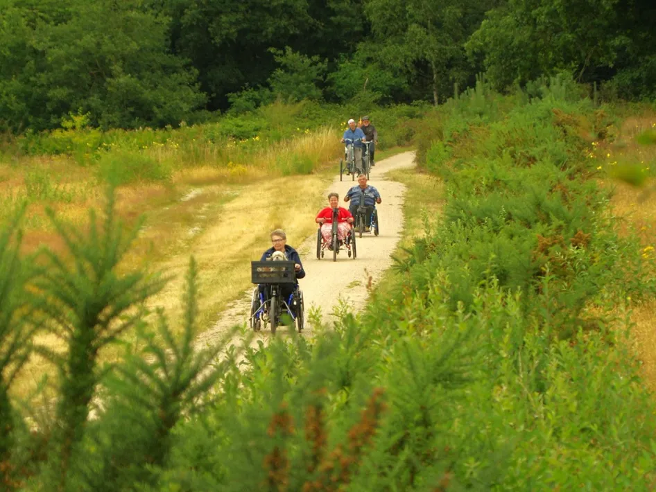 Groep mensen rijdt tijdens Mobiel 4-daagse met aangepaste fietsen en rolstoelfietsen over een zandpad door een groen natuurgebied met struiken en bomen aan weerszijden.