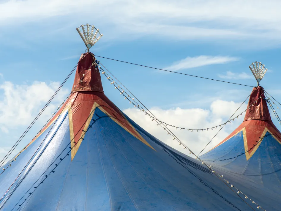 circustent bovenkant te zien van circus Bossle