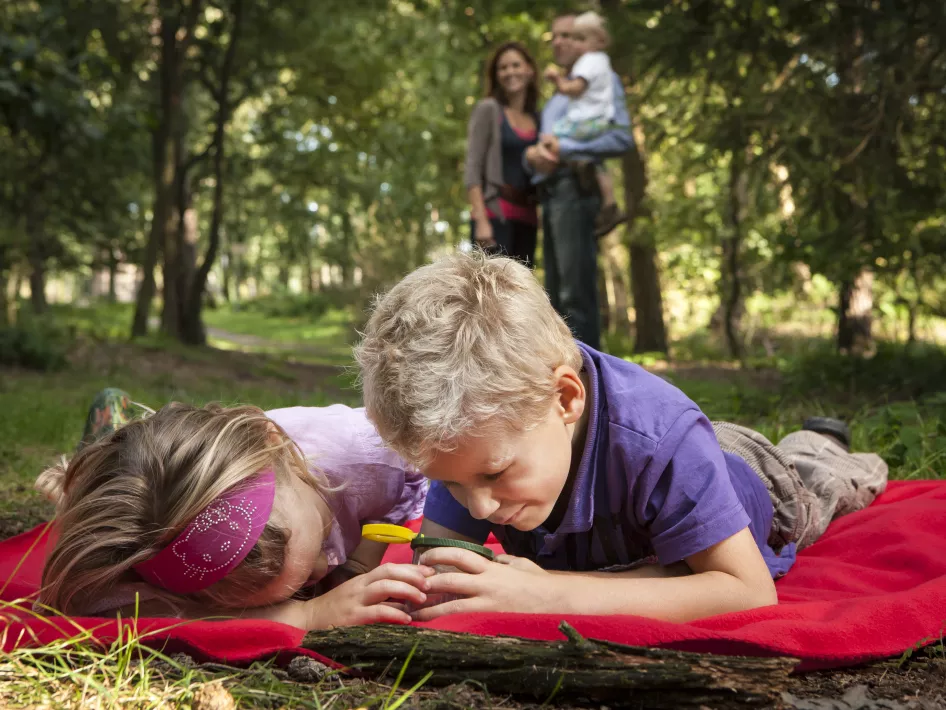 Wanderroute Weerterbos: Gelb