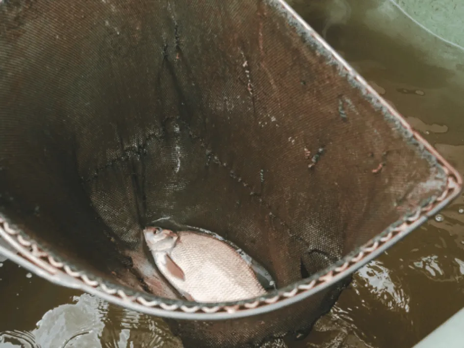 ECI waterkrachtcentrale