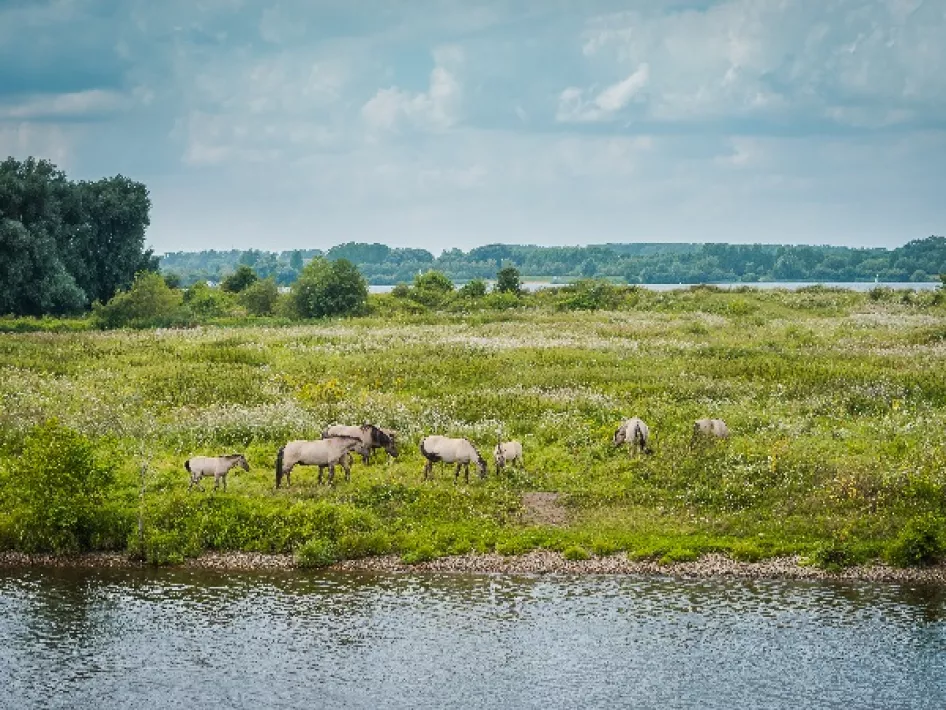 landschap tijdens de wandelroute