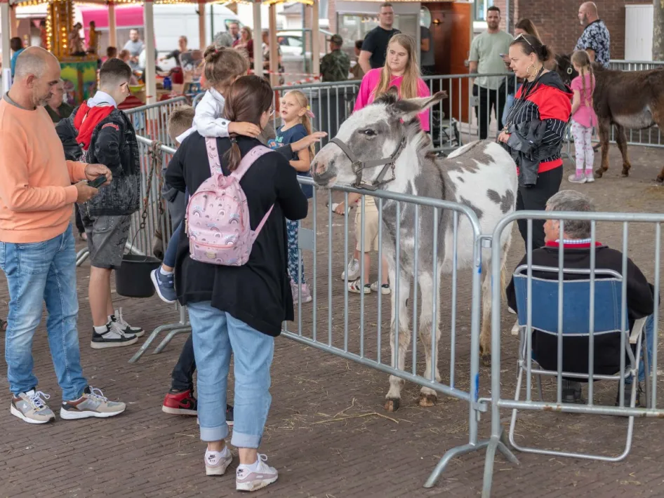 Bezoekers, waaronder kinderen, aaien een ezel bij een kleine kinderboerderij tijdens de Aezelemert Montfort, omringd door hekken en kraampjes.