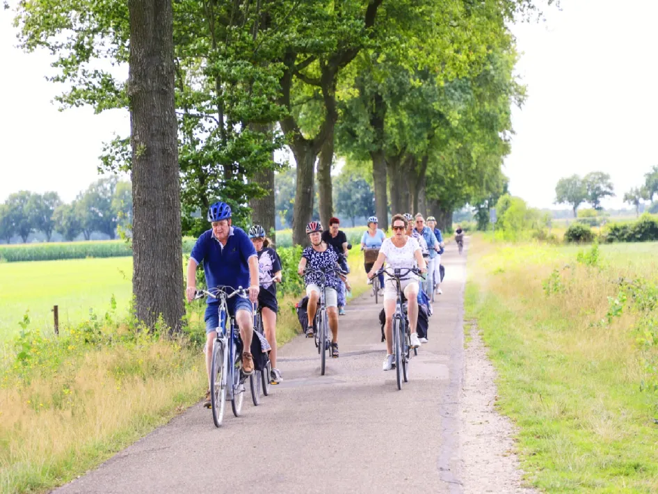 afbeelding van een groep fietsers tijdens de fiets4daagse in de peel