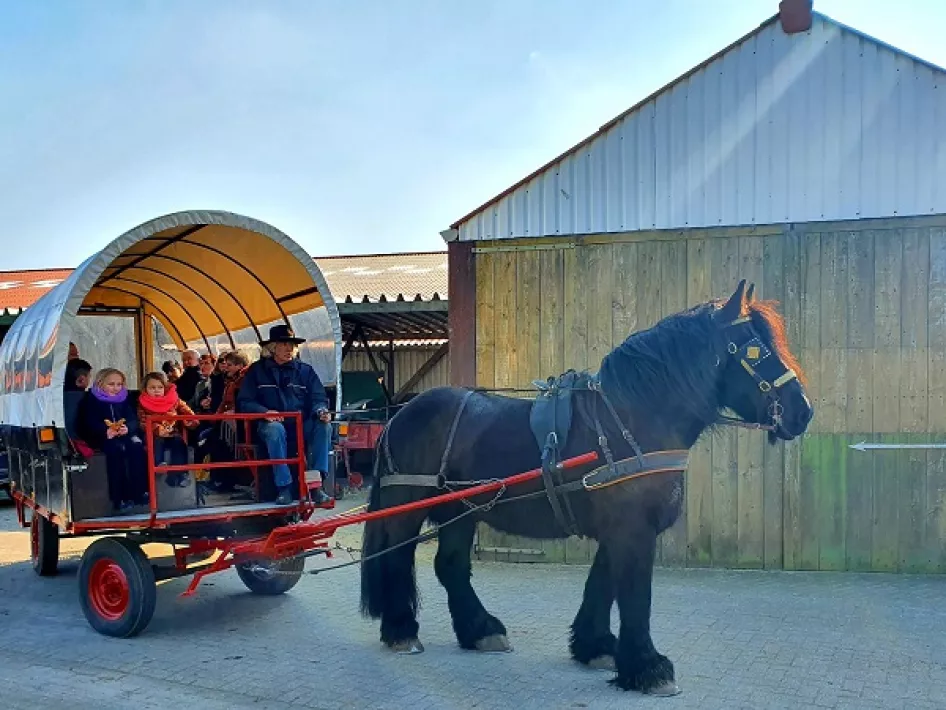 Covered Wagon Stable van Horne Hoeve