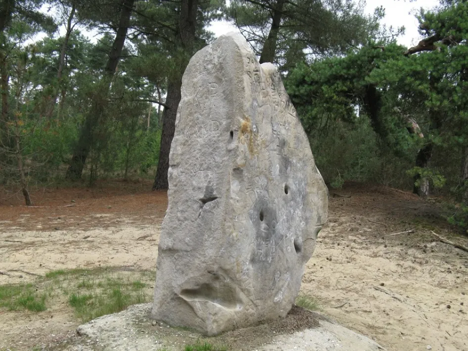Grote zwerfsteen langs een wandeling door het bos, omringd door dennenbomen en zandgrond