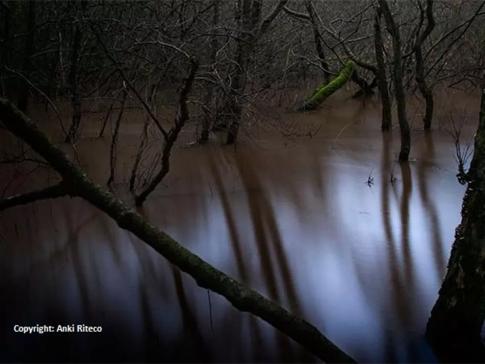 Happiness walk Back to times gone by