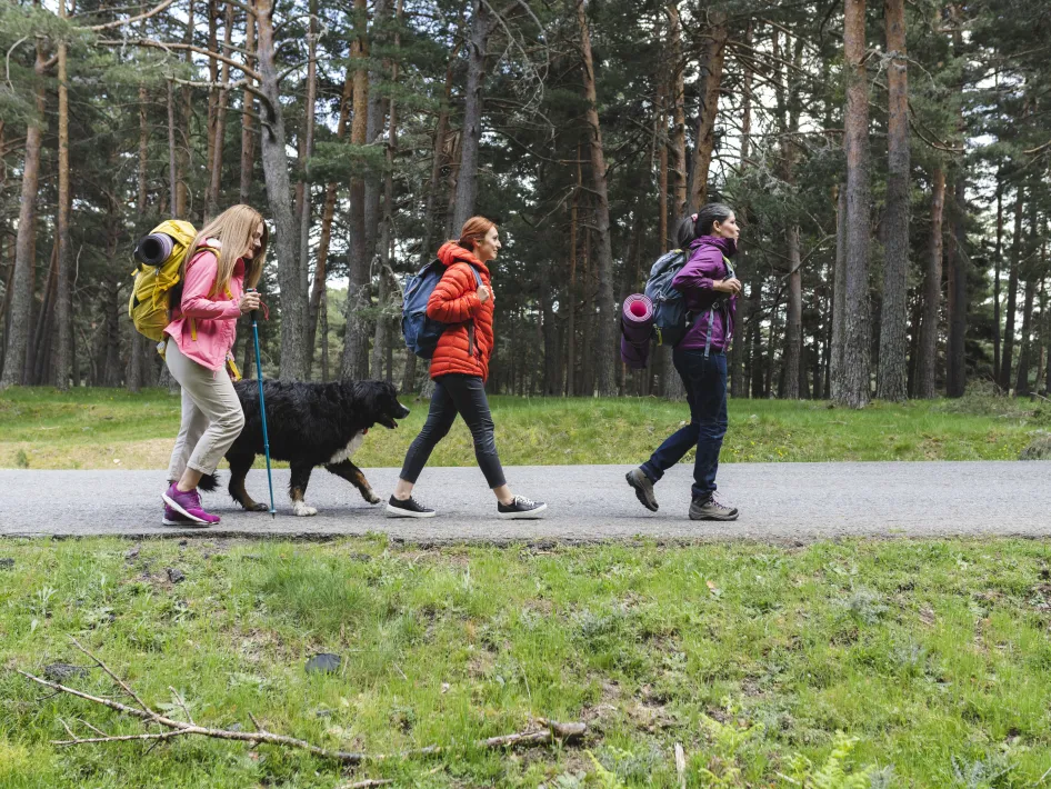 Groep wandelaars loopt samen door een bos tijdens een wandel4daagse met rugzakken en een hond.