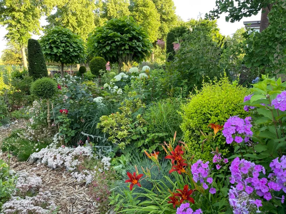 ontdek de paadjes in de open tuin