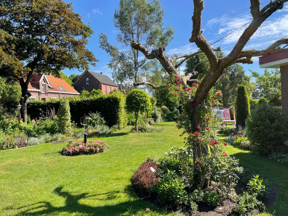 open hoek vd tuin in de open tuin