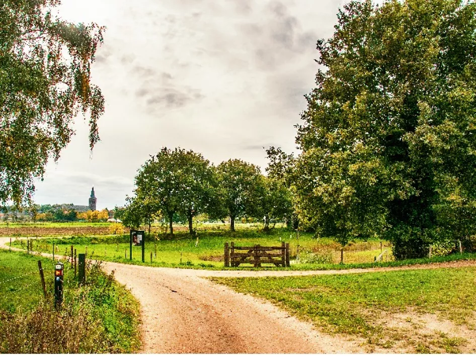 Wandelroute Beesel: Huurvaarderspad