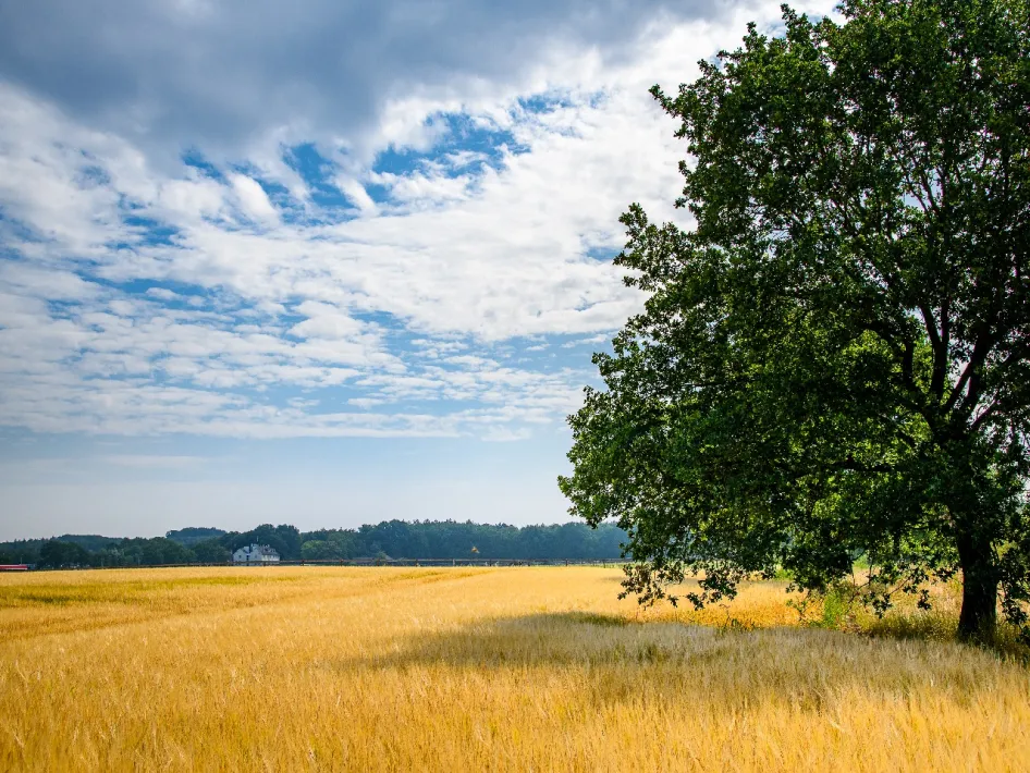 Heel weert observeert herenboeren