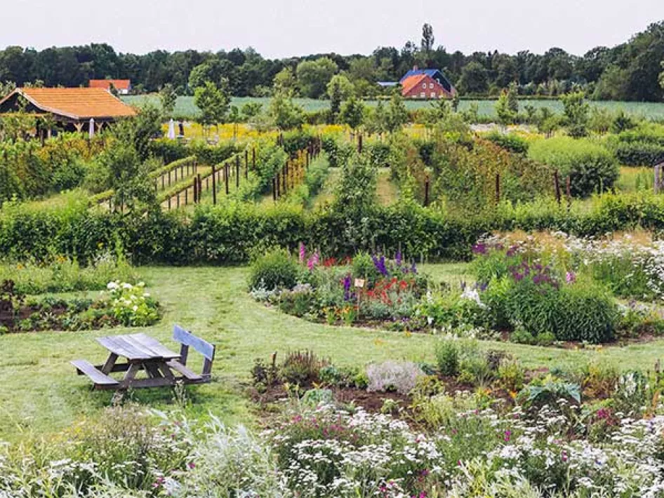 Overzicht in de 7de hemel