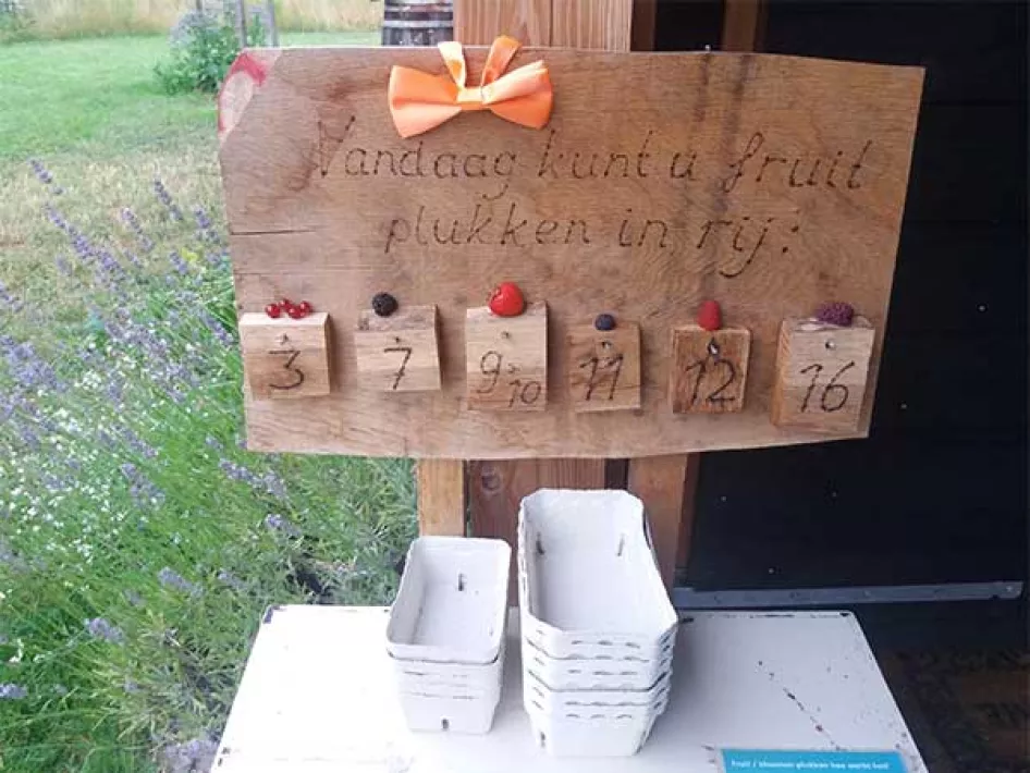 Fruit plukken Grashoek