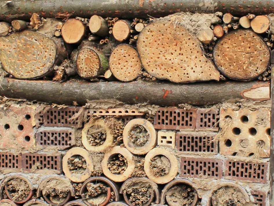 close-up van een insectenhotel