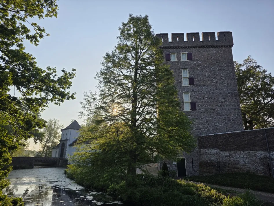 Kastelenproeverij roerdalen foto van een kasteel en een boom ervoor