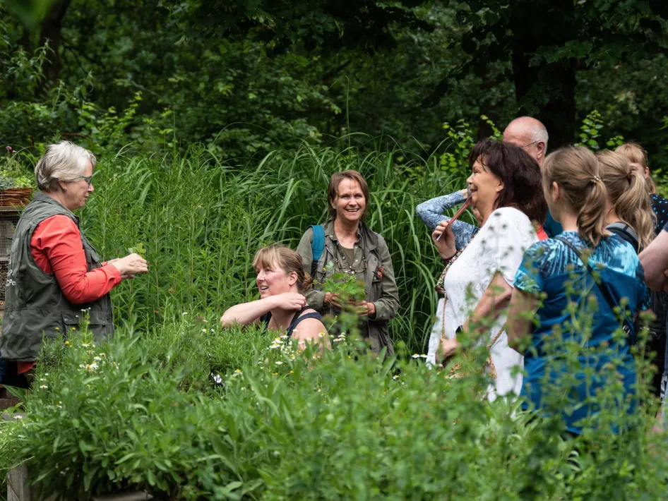 Groep deelnemers tijdens een kruidenwandeling die samen planten bekijken en bespreken in een groene tuinomgeving.