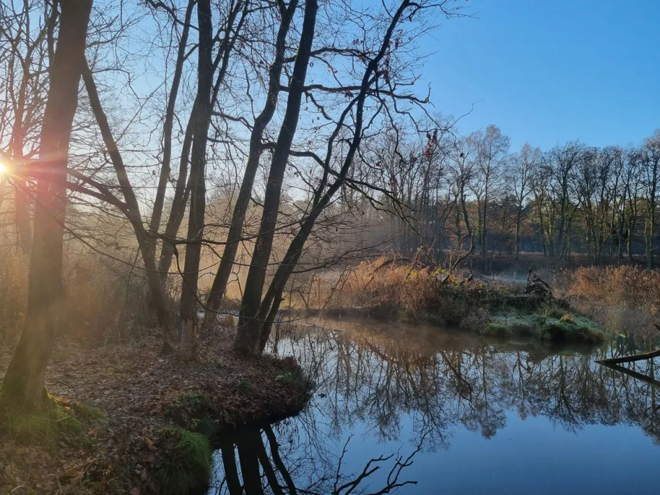 Zonsopkomst boven een rustige beek in een bosrijk natuurgebied, met kale bomen langs de oever en reflecties van het licht in het stille water. Om te verstillen in Leudal