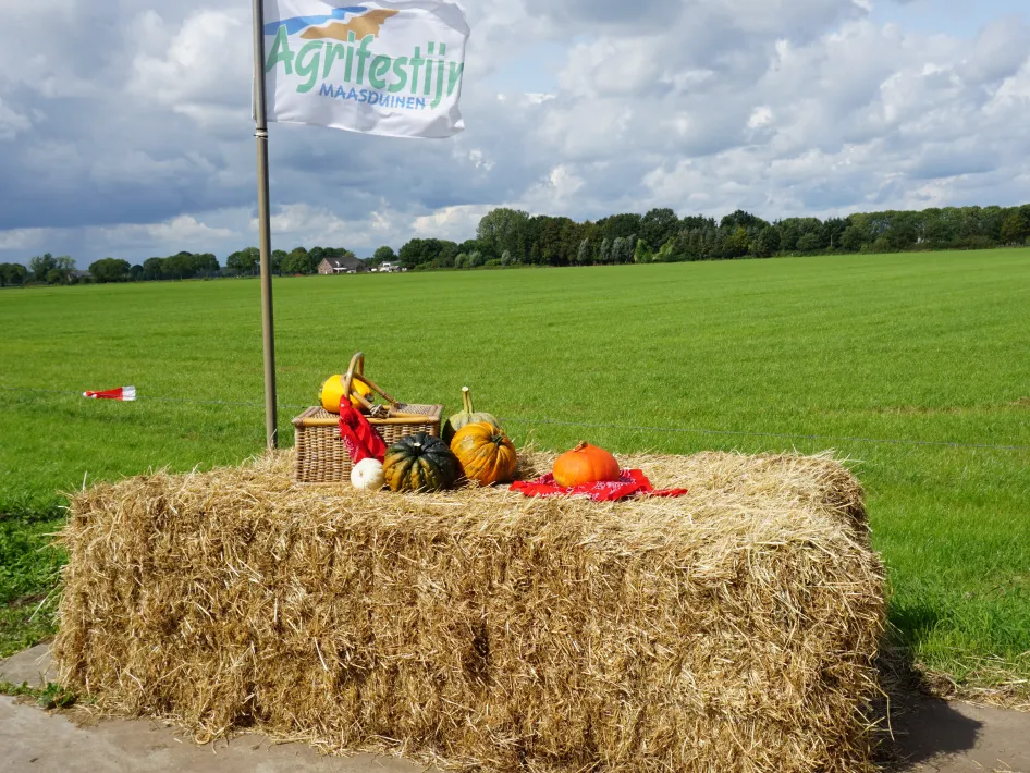 Strobalen met pompoenen en een vlag van Agrifestijn Maasduinen aan de rand van een groen veld.
