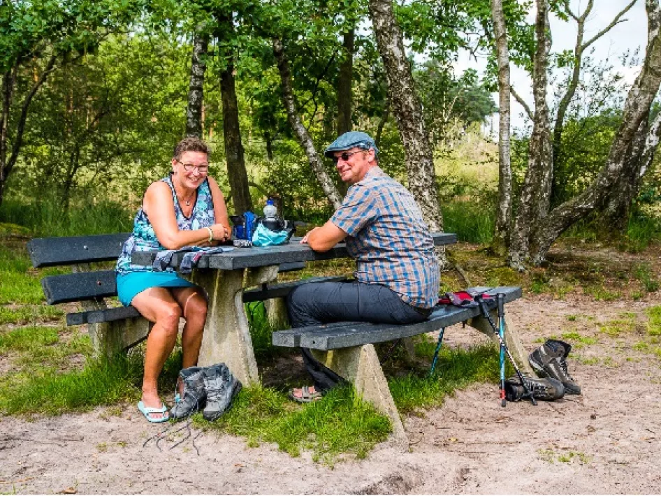 Wanderroute Meinweg-Luzenkamp: Entdecken Sie die Melickerheide und ihre Bewohner