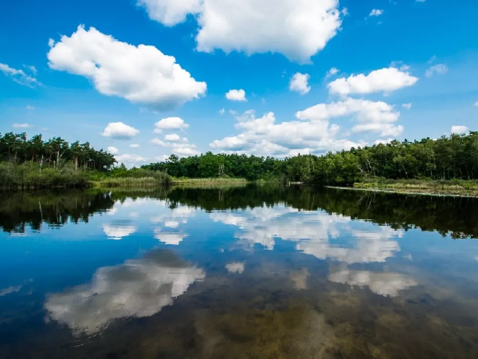 Nature Walk Roerdalen: De Meinweg - Luzenkamproute