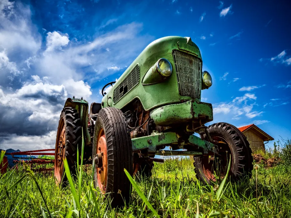 oldtimers in een weiland
