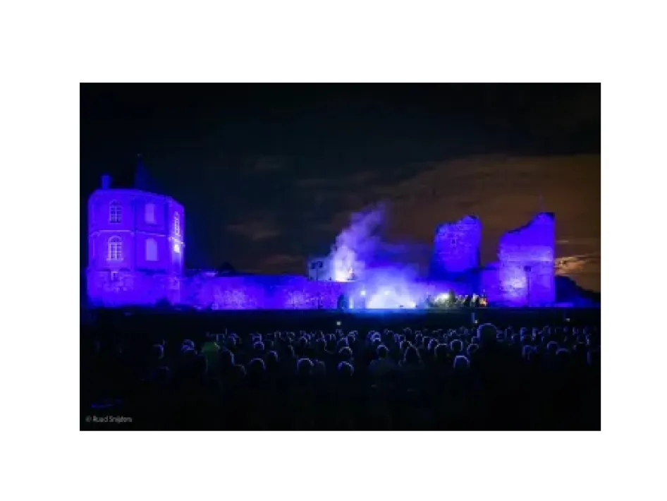 Reinhoud de strijdvaardige het concertbeeld met paarse lichten