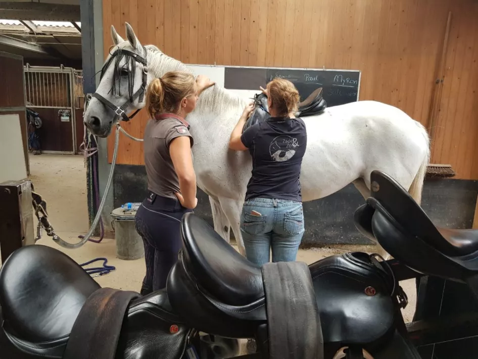 Reitsportzentrum Seurenheide Sättel passen