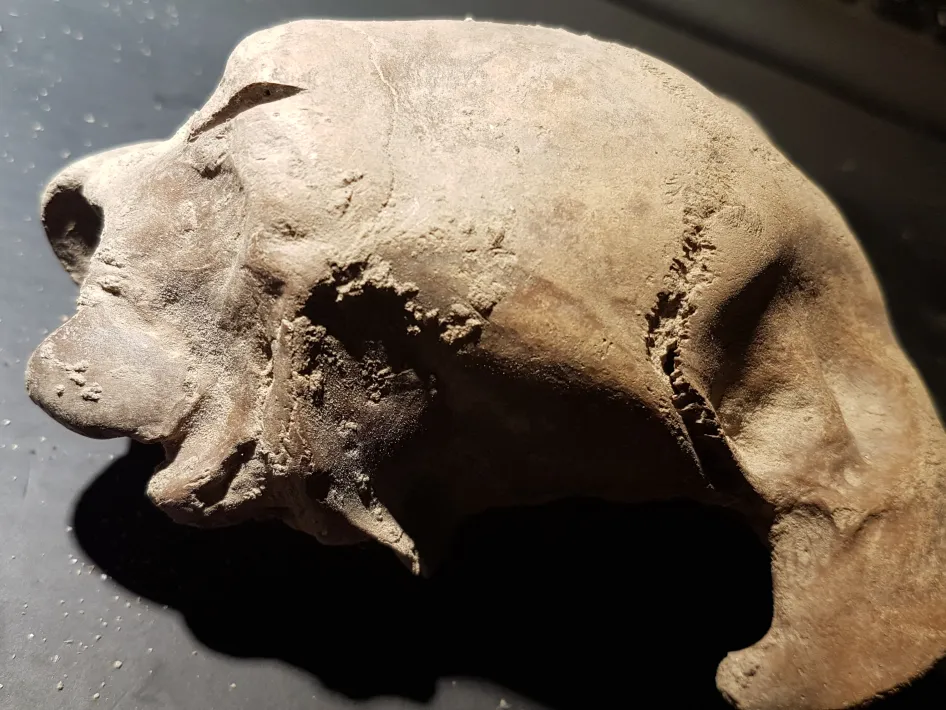 Vindplaats Stein: Middeleeuwse schoenzolen van Maasband