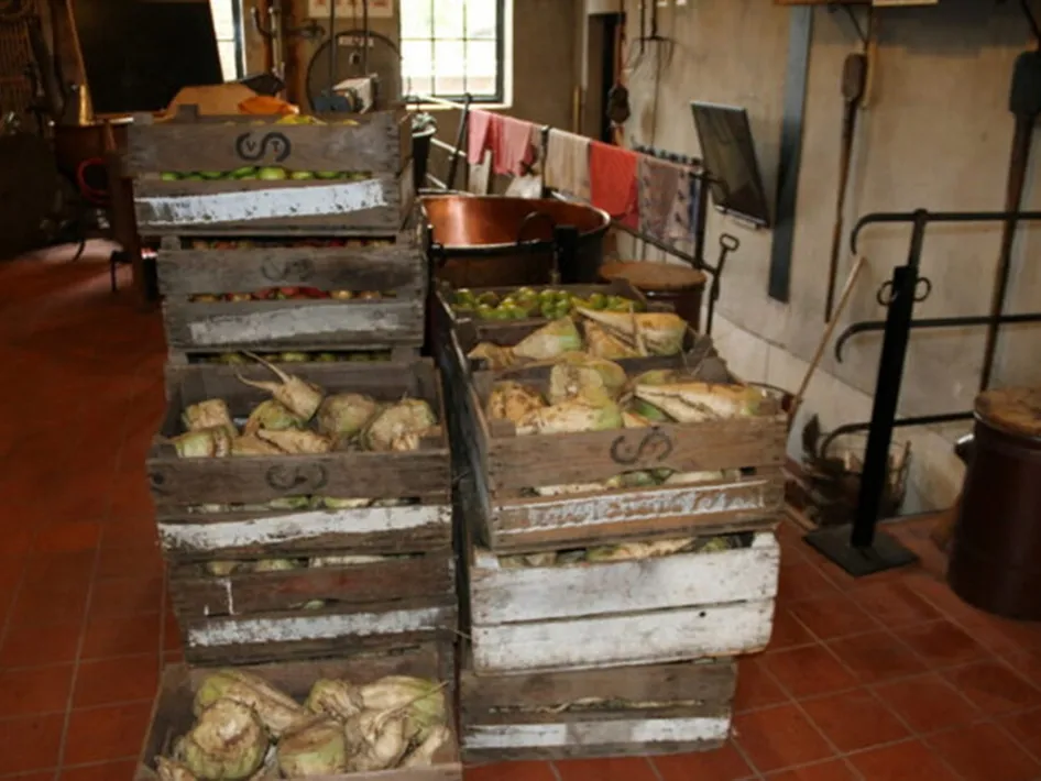 Kraten met bieten in een historische keuken waar stroopmakers het fruit en de bieten voorbereiden voor het maken van traditionele stroop.