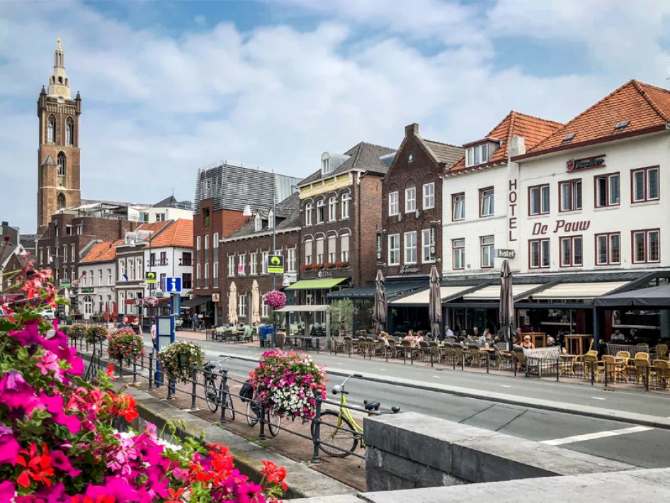 Aanzicht De Pauw vanaf de Roerkade