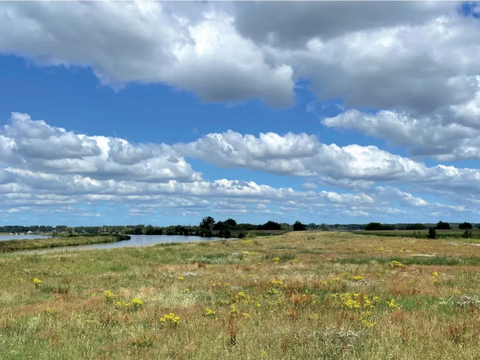 Uiterwaarden en rivierlandschap dat wordt besproken tijdens de lezing de maas van bron tot monding.