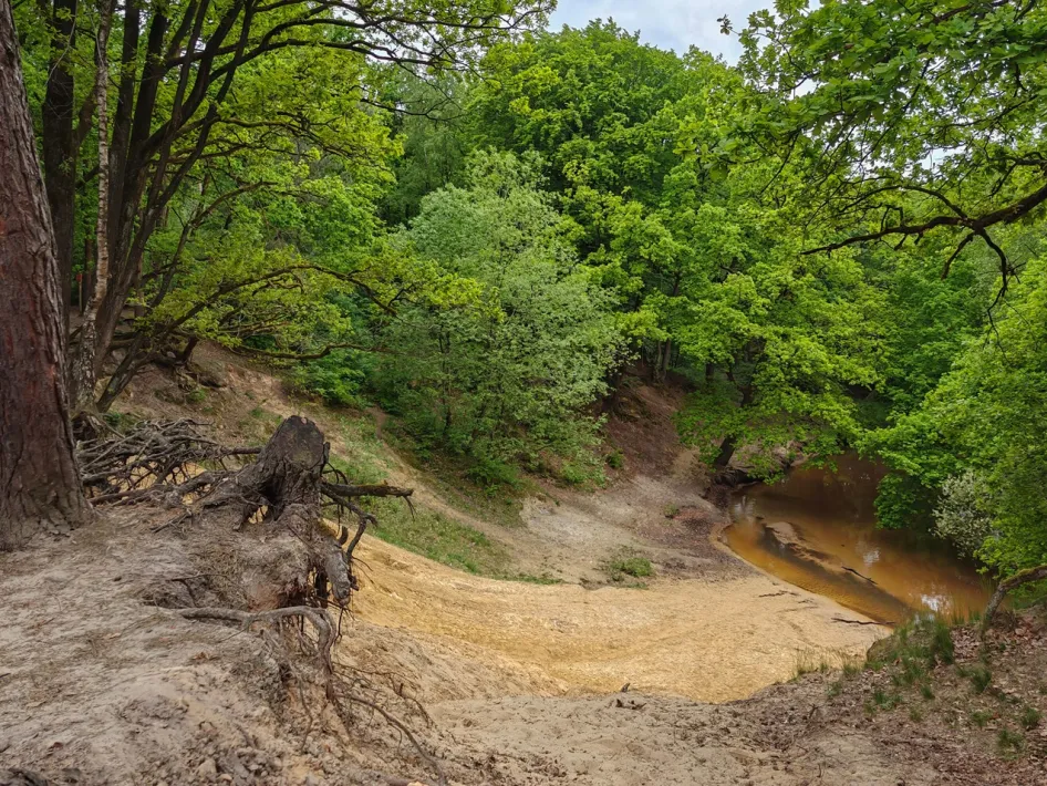 foto van natuurgebied tijdens de wandeling in het leudal