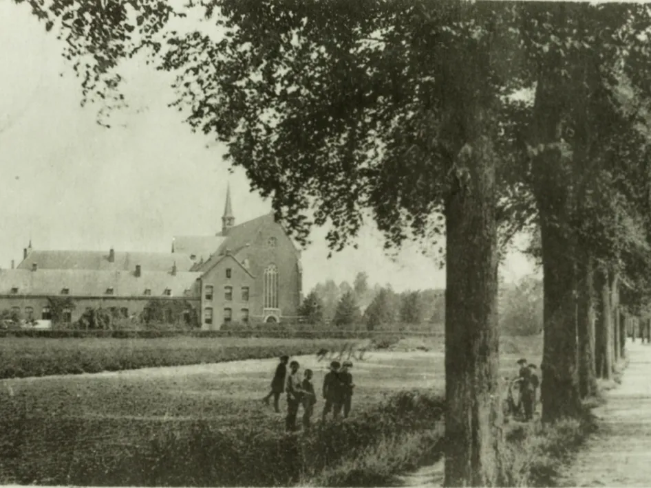 Historische zwart-witfoto van een laan in Weert met wandelaars langs de weg, passend bij een Van Horne wandeling door het landschap.