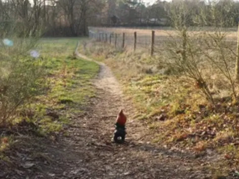 Pad door de natuur met een kabouterbeeldje tijdens een speelse fotozoektocht voor jeugd in een groen landschap.