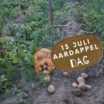 Aardappel(rooi)dag