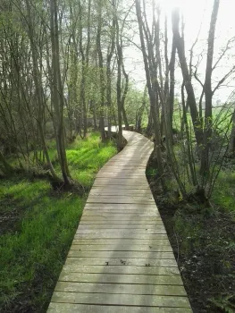 Jaarlijkse wandeltocht sv Leveroy
