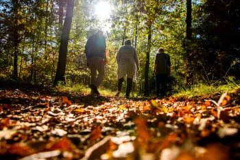 Herfstwandeling Stramproy
