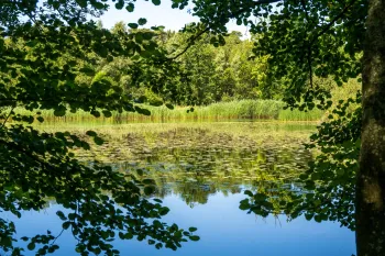 Historische wandeling door de IJzeren Man