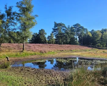 Excursie De levende geschiedenis van Exatenbosch