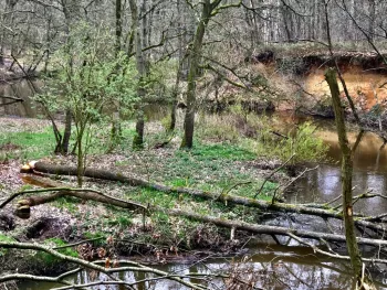 Driestromenwandeling Leudal