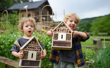 Ontwerp je eigen insectenhuis