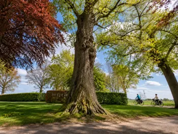 Bomenfietstocht in het Leudal